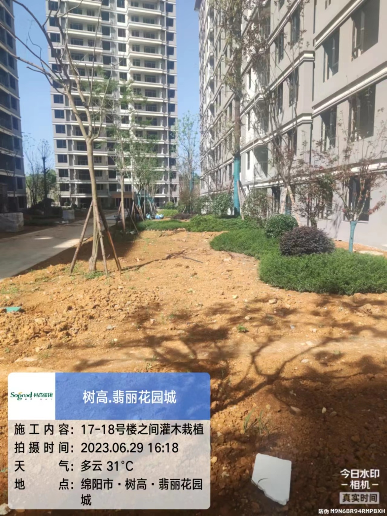 1688111869367504.jpg 1688111869367504.jpg