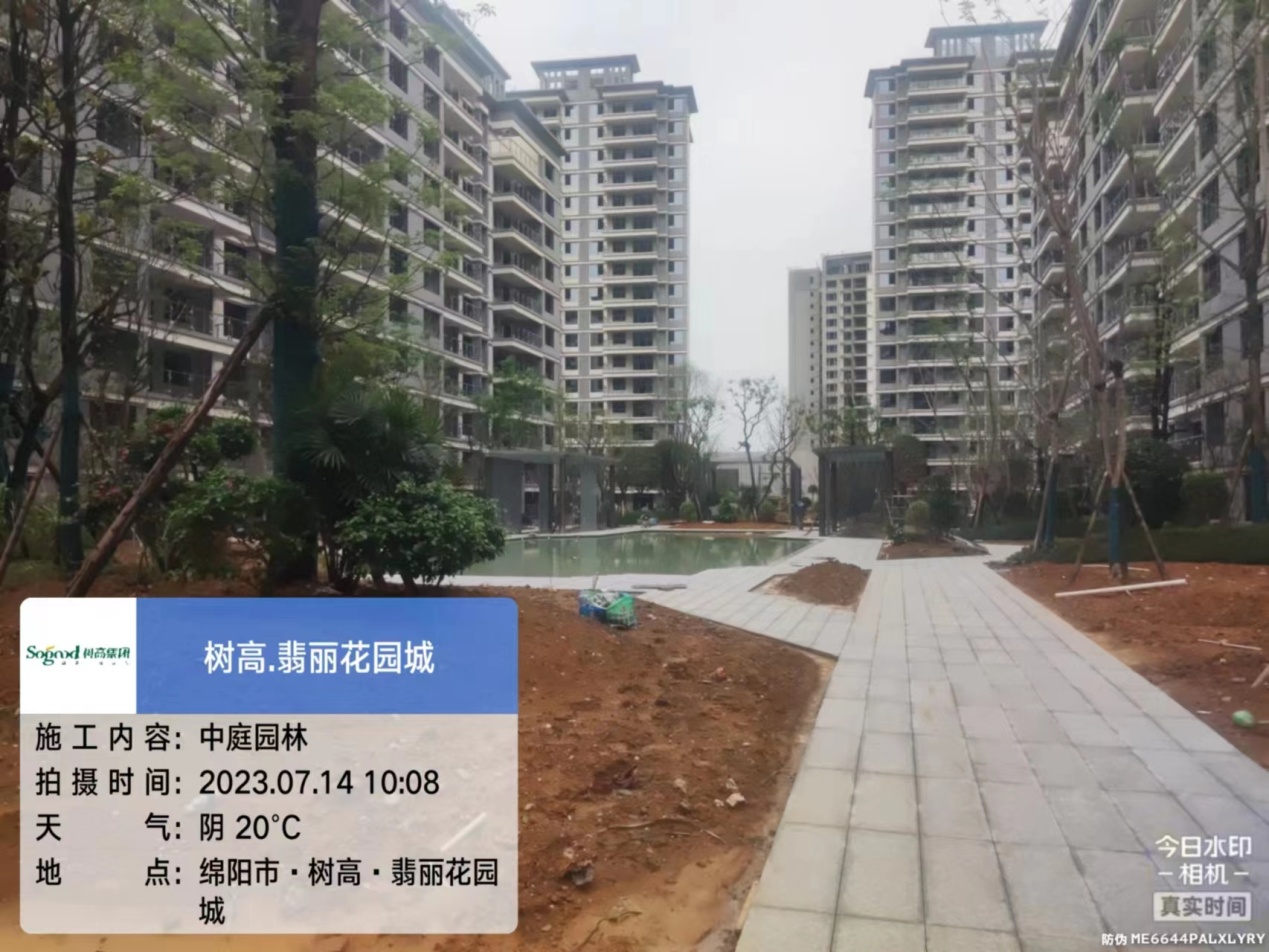 1689576677166509.jpg 1689576677166509.jpg