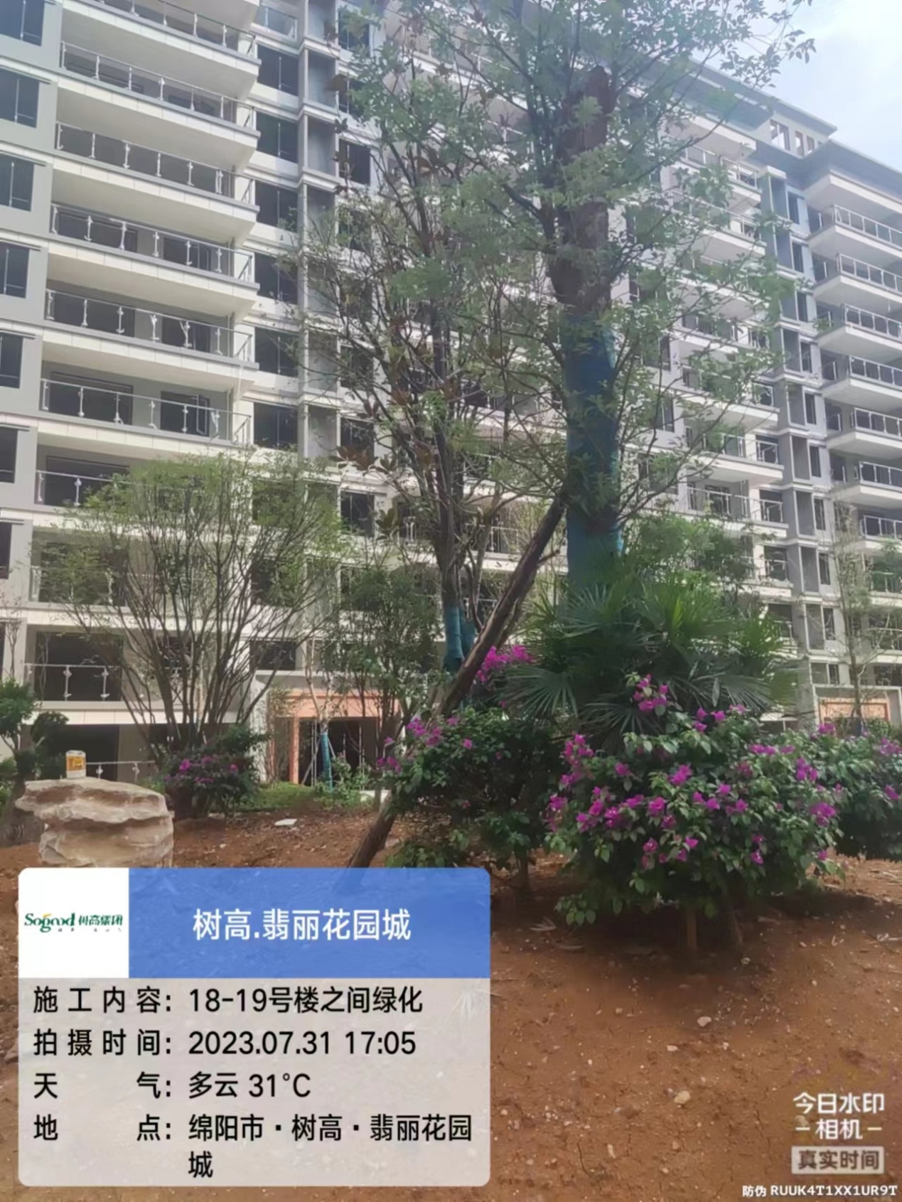 1690868496119525.jpg 1690868496119525.jpg