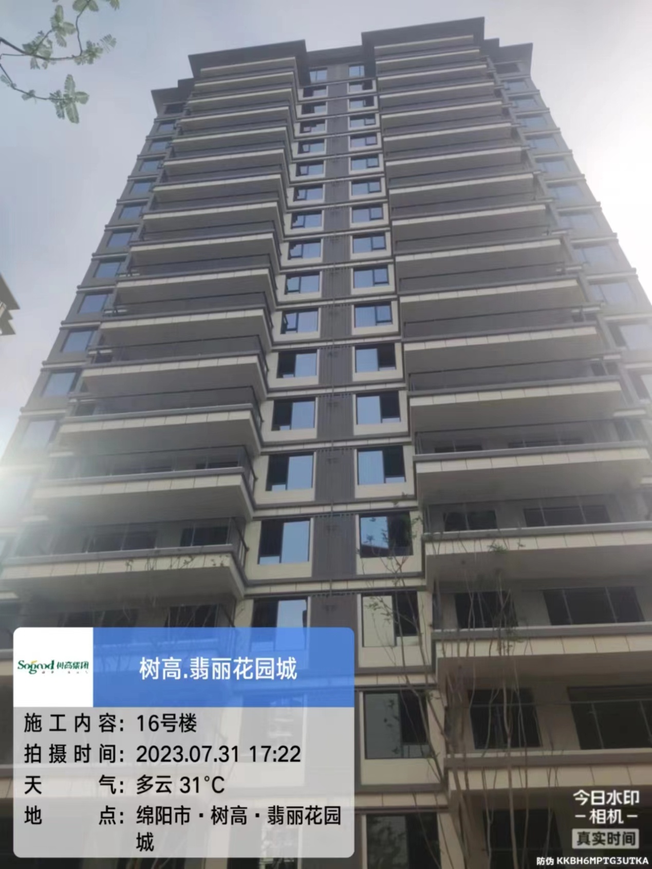 1690868496192373.jpg 1690868496192373.jpg