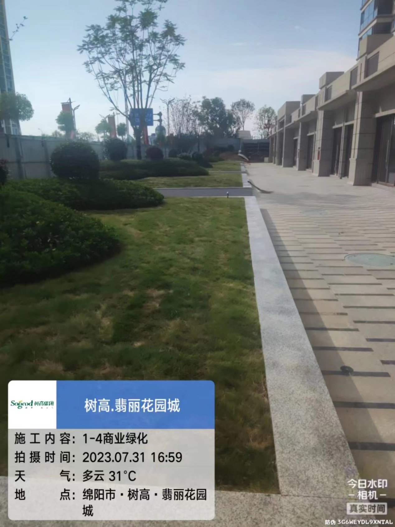 1690868496194949.jpg 1690868496194949.jpg