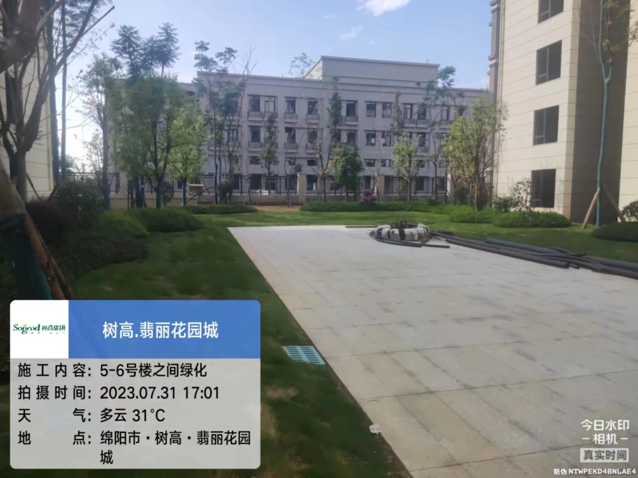 1690868496214680.jpg 1690868496214680.jpg