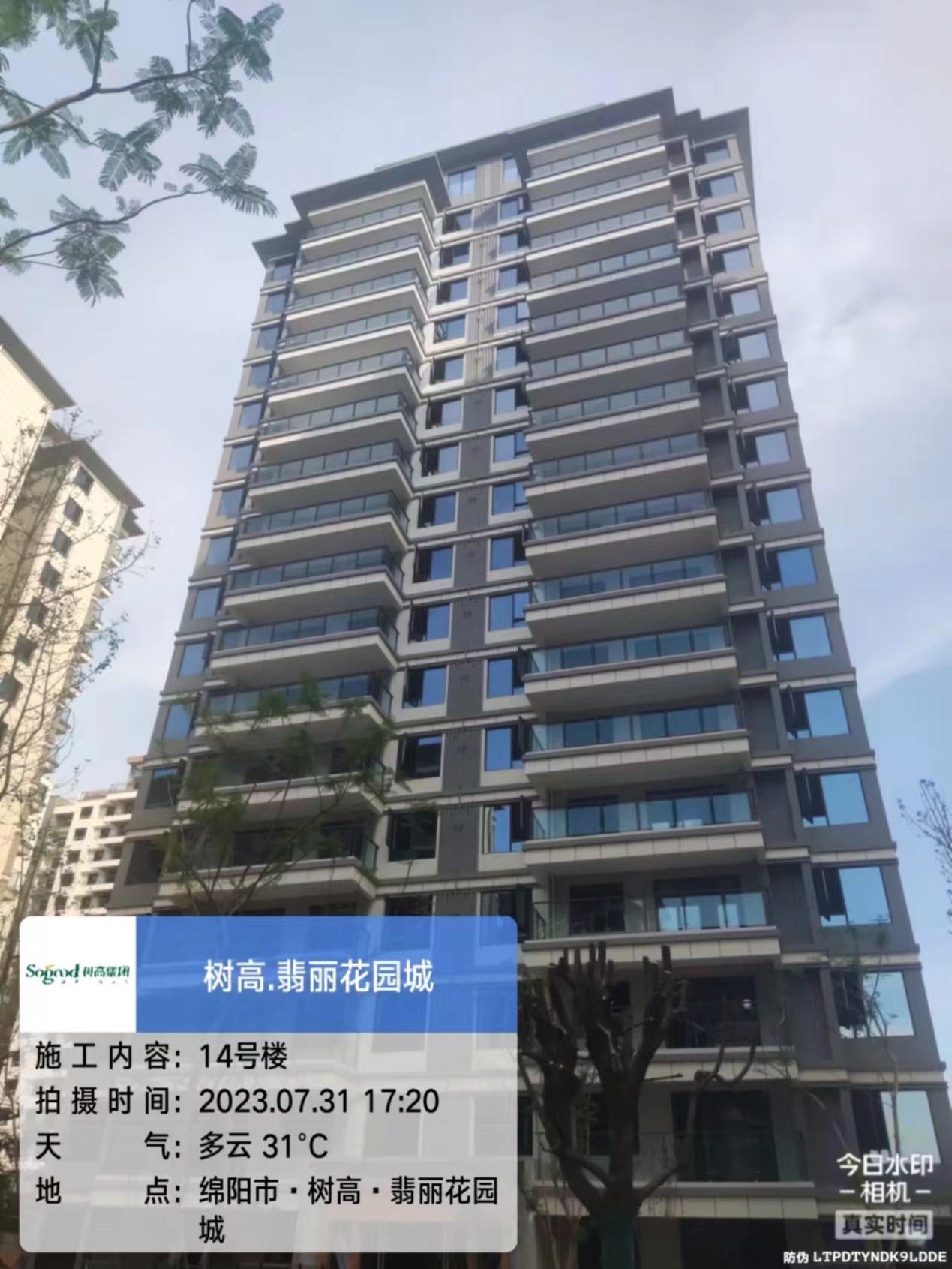 1690868496493463.jpg 1690868496493463.jpg