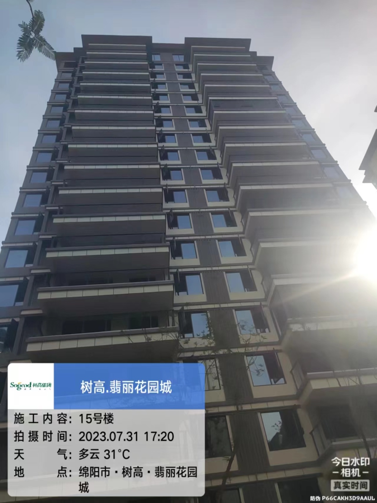 1690868496508966.jpg 1690868496508966.jpg