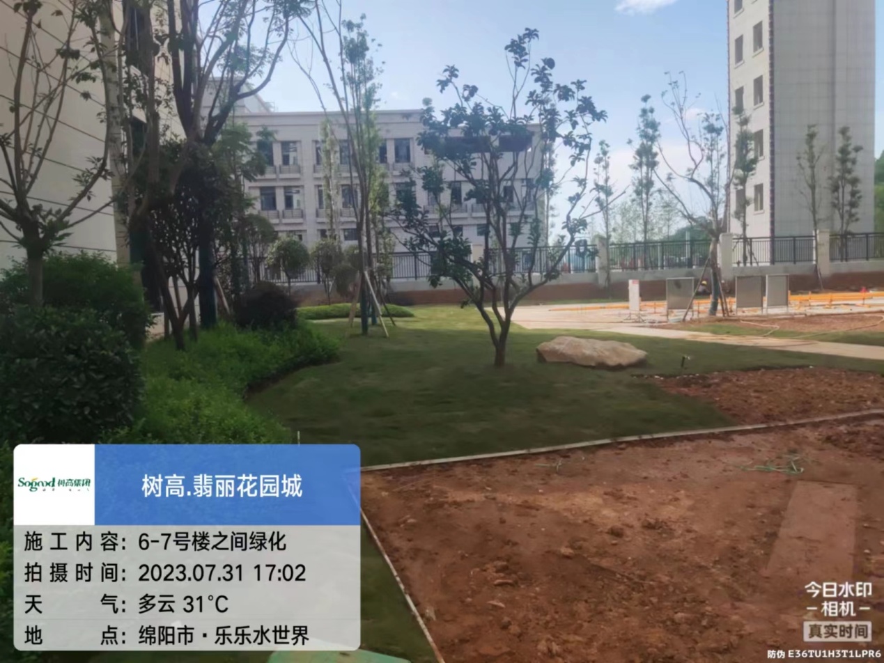 1690868496670199.jpg 1690868496670199.jpg