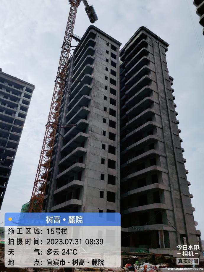 1690870345763708.jpg 1690870345763708.jpg