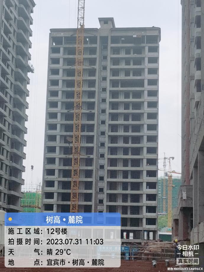 1690870345896751.jpg 1690870345896751.jpg