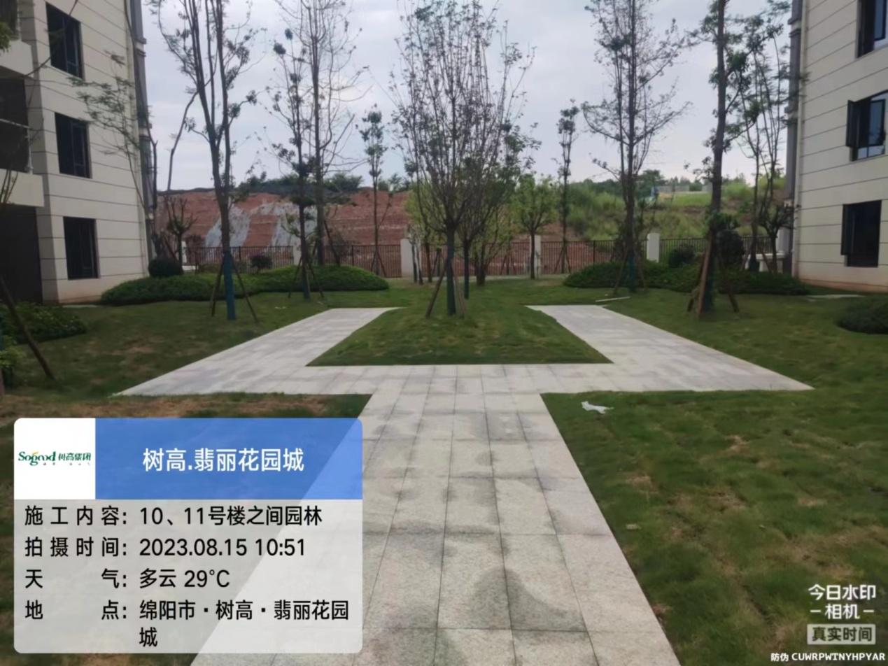 1692149600145483.jpg 1692149600145483.jpg