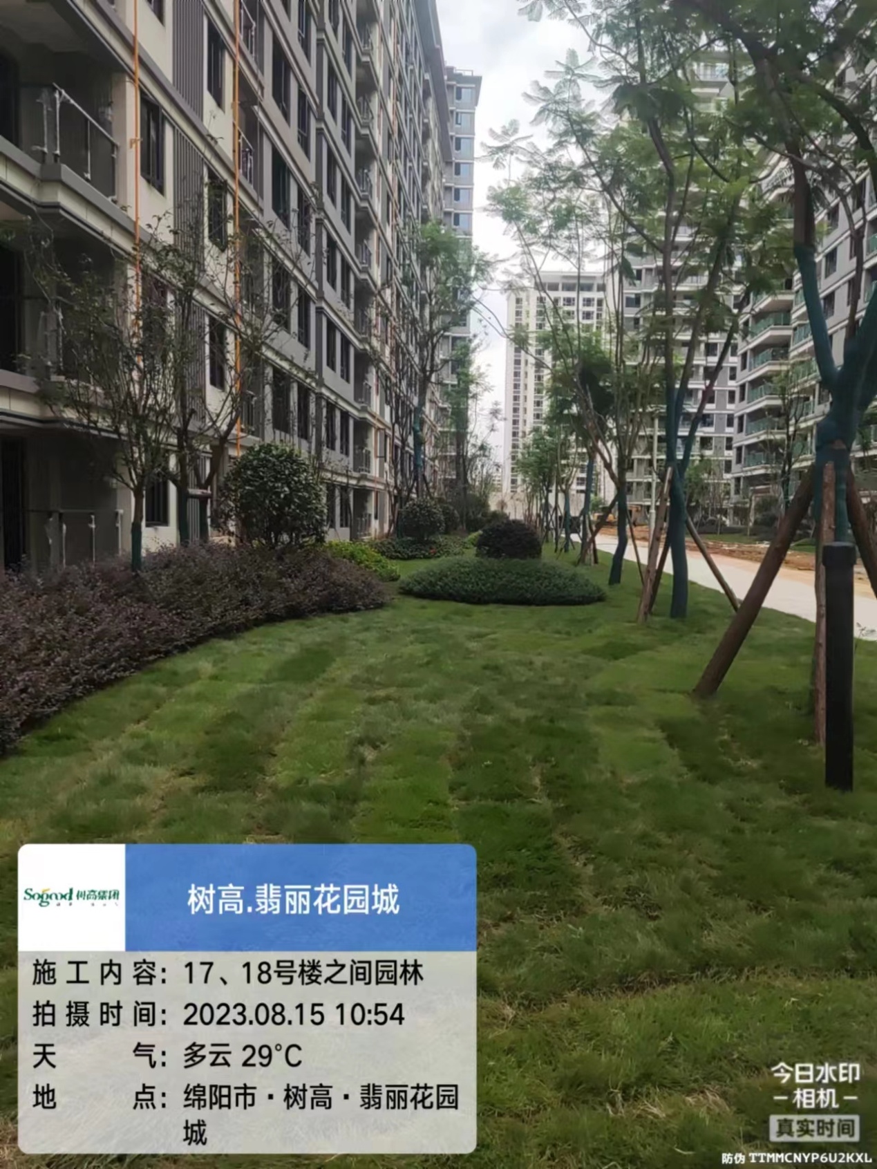 1692149600179627.jpg 1692149600179627.jpg