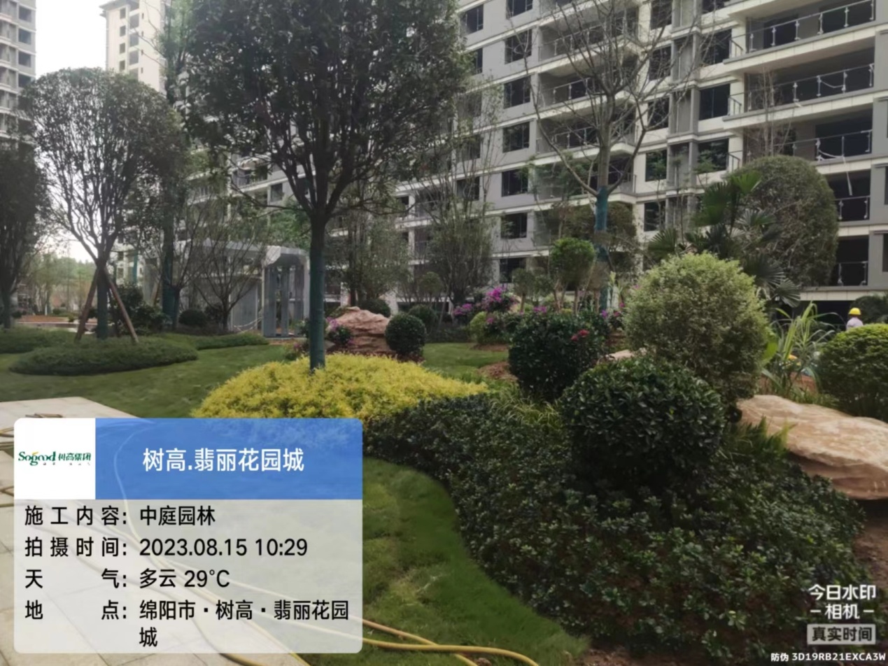 1692149600201804.jpg 1692149600201804.jpg