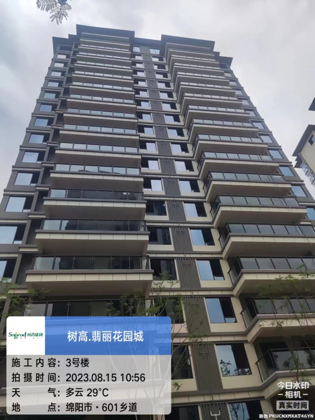 1692149600827617.jpg 1692149600827617.jpg