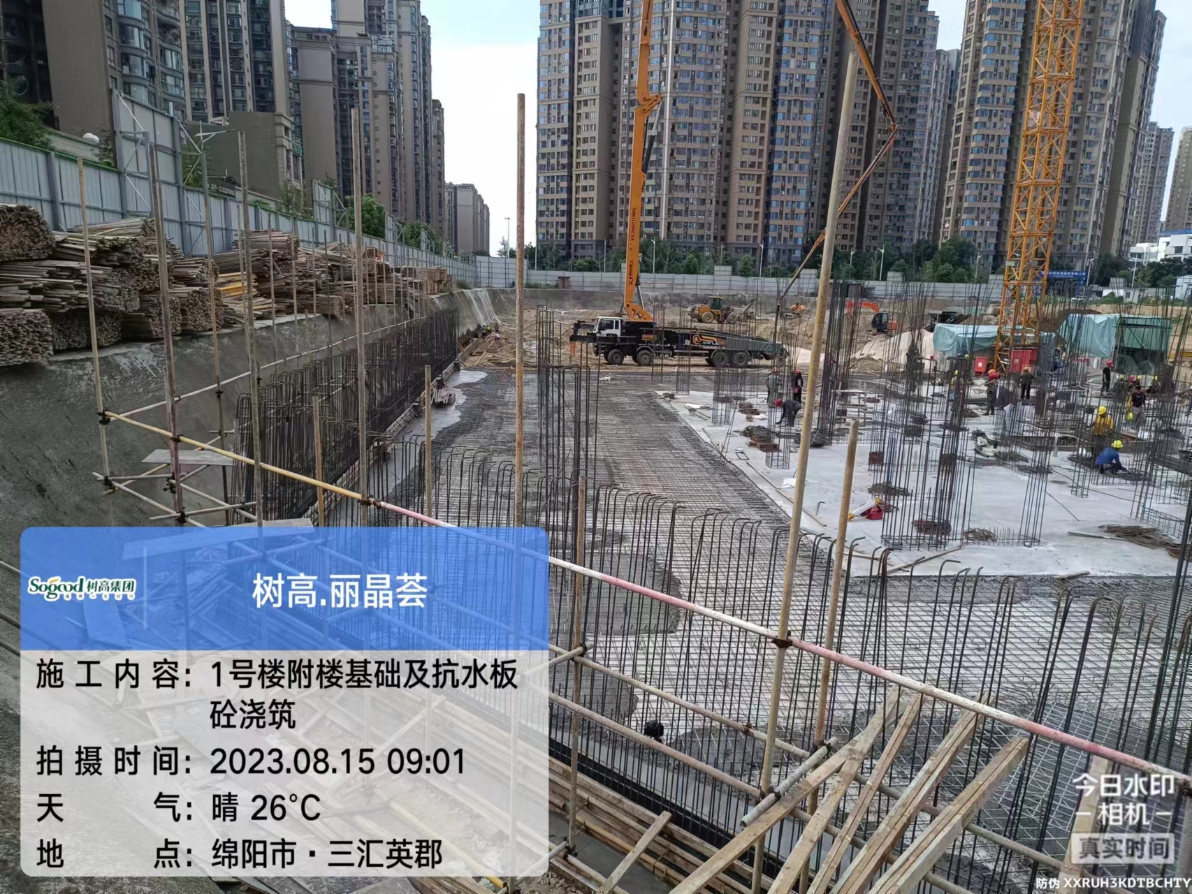 1692150602206429.jpg 1692150602206429.jpg