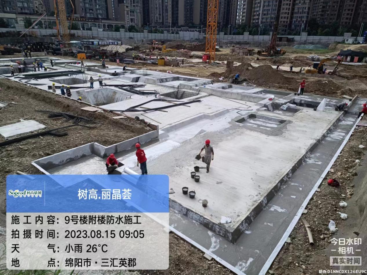 1692150602642687.jpg 1692150602642687.jpg