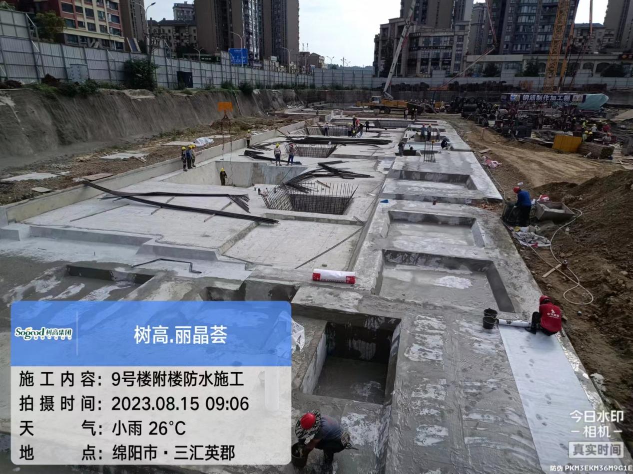 1692150602869809.jpg 1692150602869809.jpg