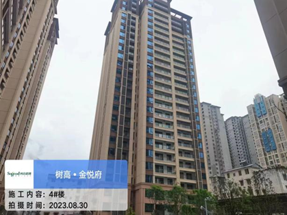 1693445160138231.png 1693445160138231.png