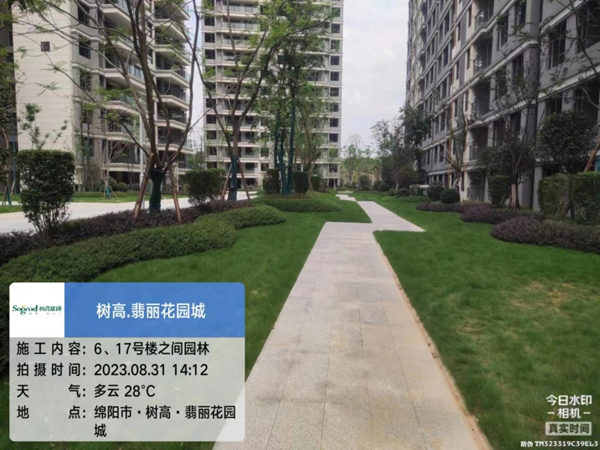 1693474304137679.png image.png