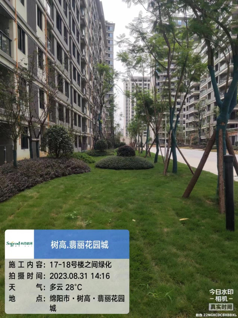 1693474405114739.png 1693474405114739.png