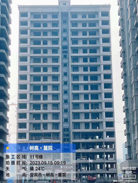 1694760492962009.png image.png