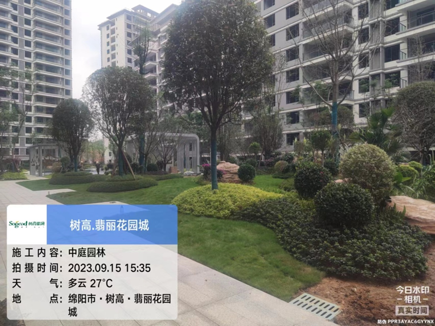 1694765555178864.png image.png