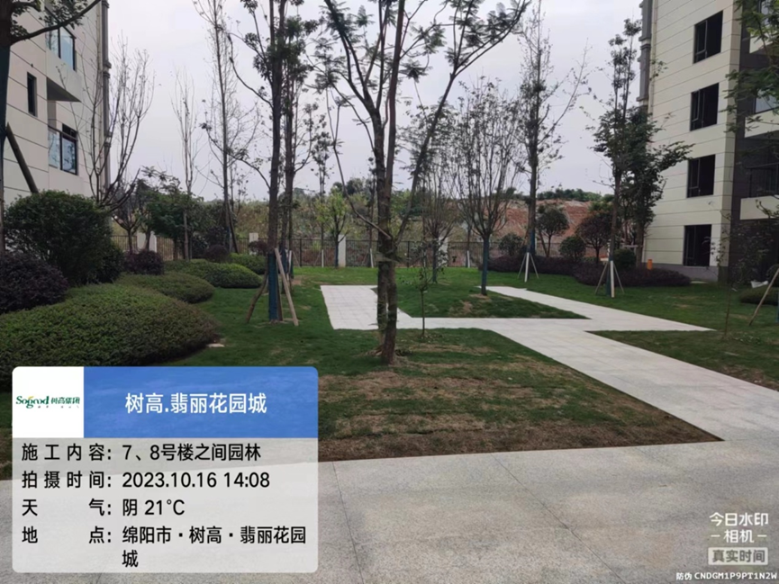 1697445947982337.png image.png