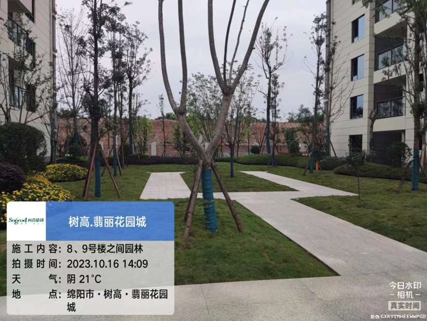 1697445979131888.png image.png