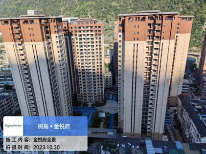 1698729604105562.png image.png