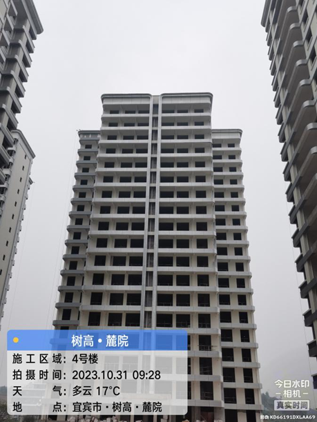 1698738604519597.png 1698738604519597.png