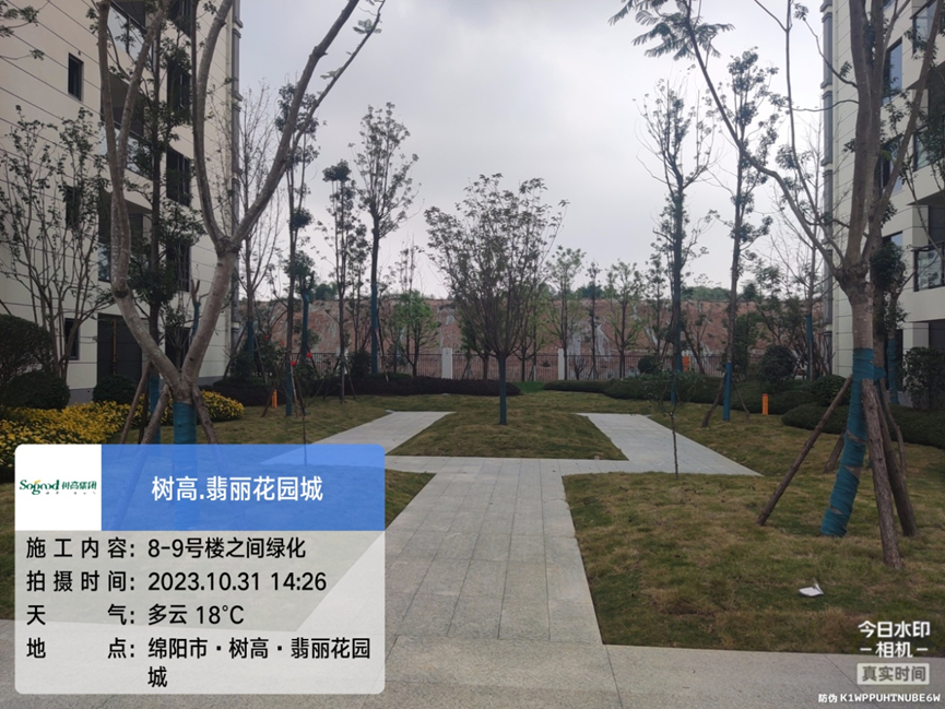 1698742828124306.png 1698742828124306.png