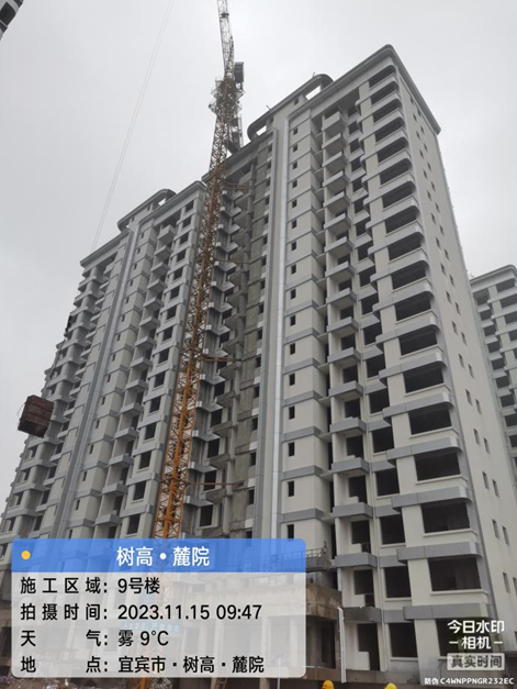 1700031954106929.png image.png