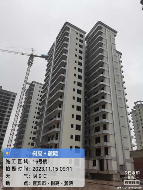 1700032002172379.png image.png