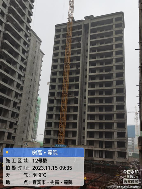 1700032089158514.png image.png