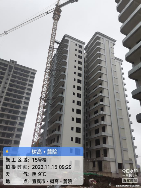 1700032193156794.png image.png