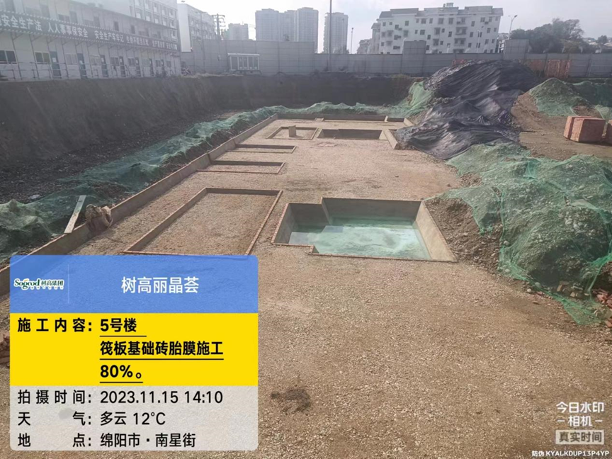 1700034348132649.png image.png