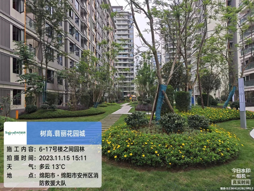 1700039335179064.png image.png