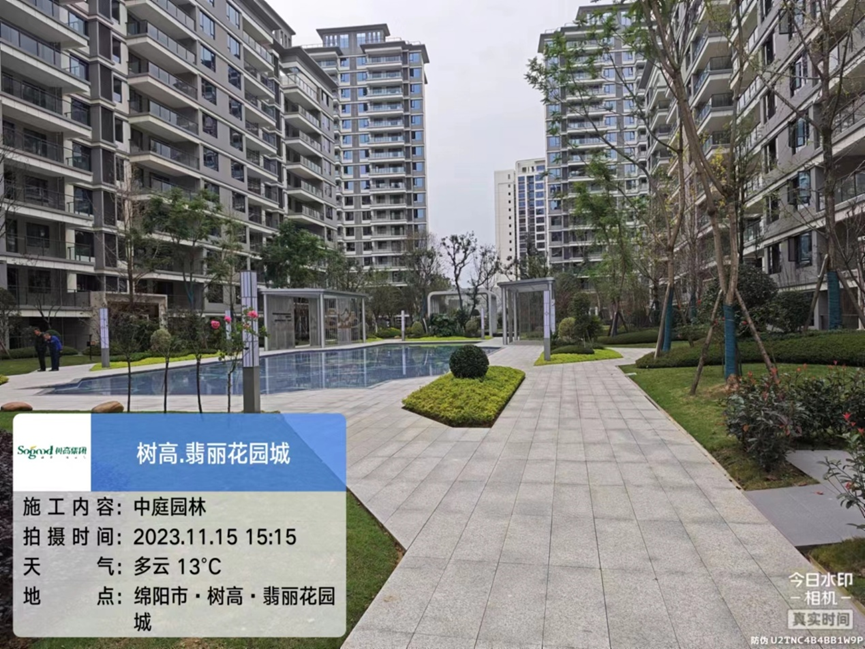 1700039388362874.png image.png