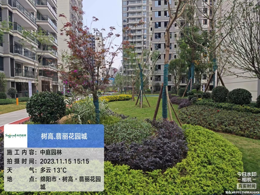 1700039395131693.png image.png