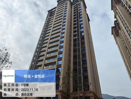 1700102274115981.png image.png