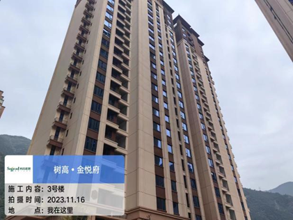 1700102292204825.png image.png