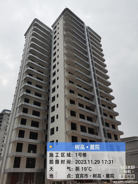 1701327443173809.png image.png