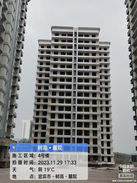 1701327463170601.png image.png