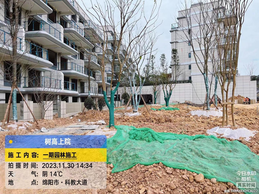 1701329568130418.png 1701329568130418.png