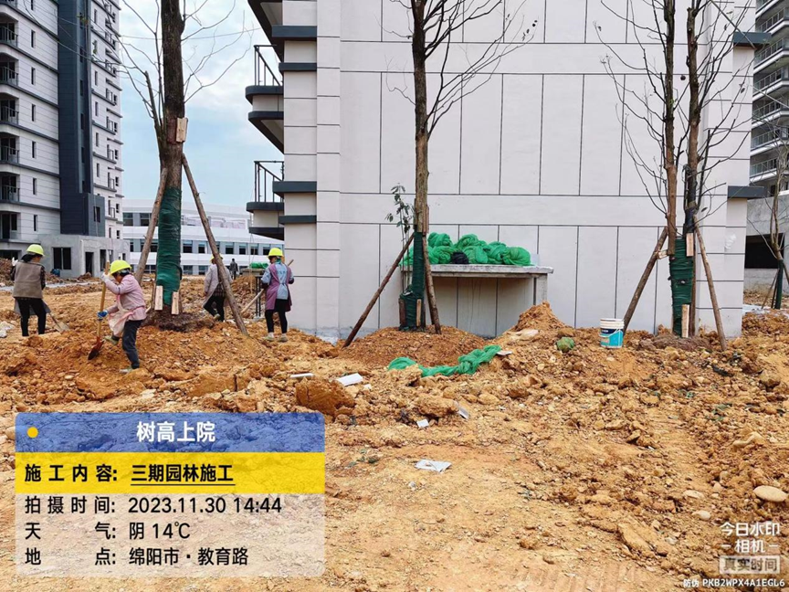 1701329649834996.png 1701329649834996.png