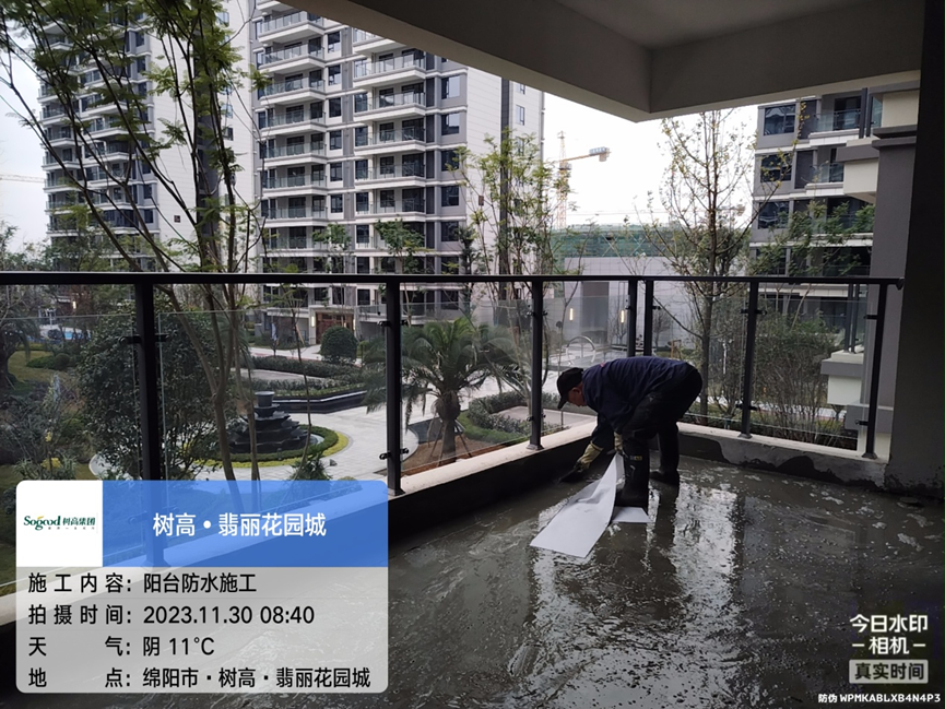 1701398158207652.png image.png