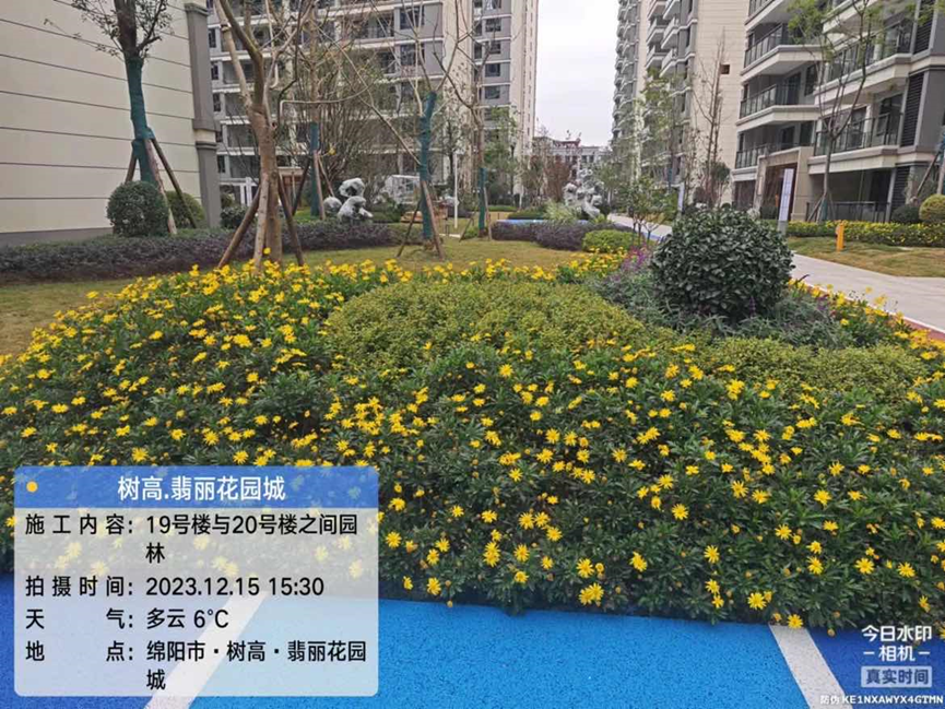 1702866295496335.png image.png