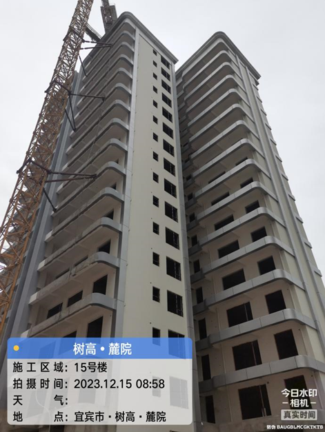 1702867168162704.png image.png