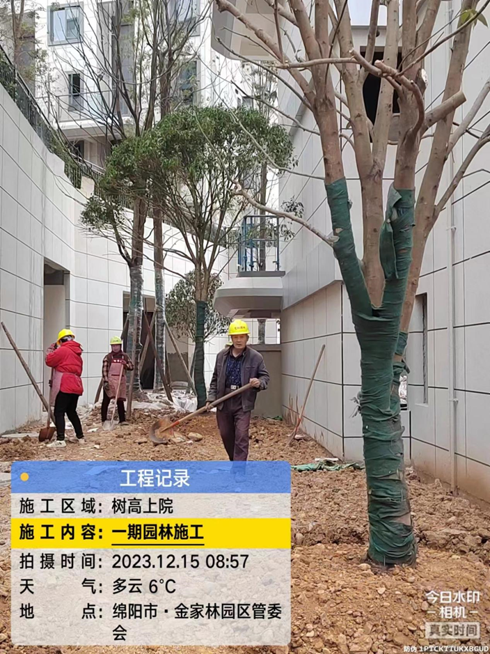 1702868011160543.png 1702868011160543.png