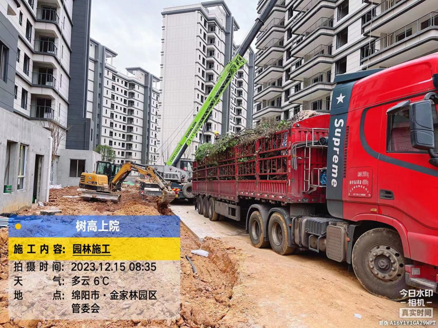 1702868026100491.png 1702868026100491.png