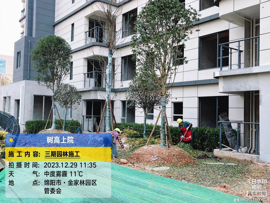 1703839103120306.png image.png