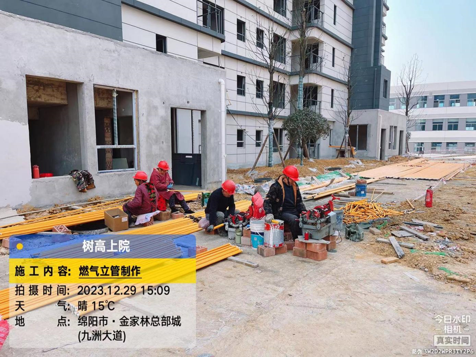 1703839594166708.png 1703839594166708.png