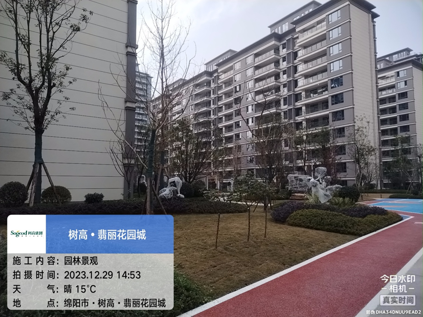 1703840572131774.png image.png